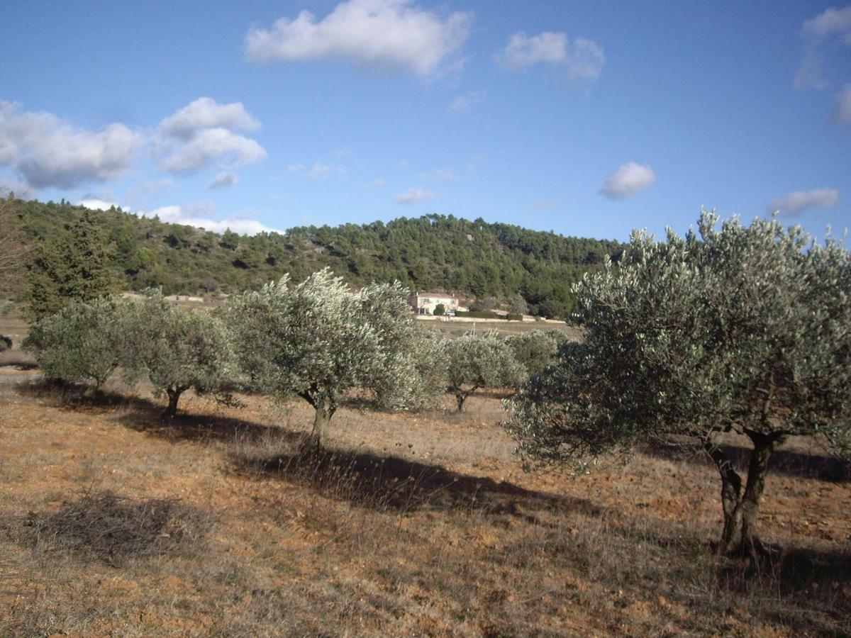 L' Oliveraie De Plerimond Aups Exteriör bild