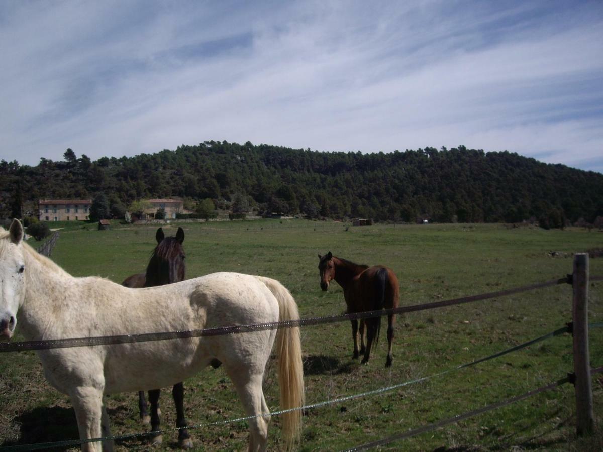 L' Oliveraie De Plerimond Aups Exteriör bild